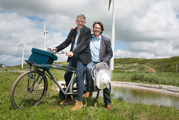 Bijenkasten in de Waarderpolder, Haarlem 2015